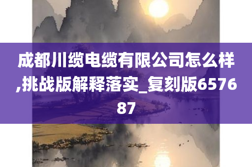 成都川缆电缆有限公司怎么样,挑战版解释落实_复刻版657687