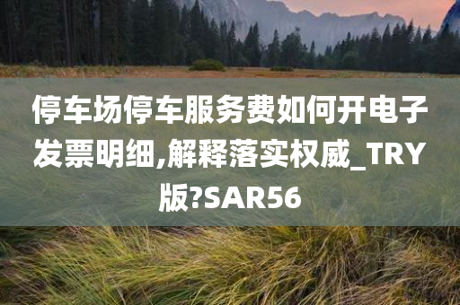 停车场停车服务费如何开电子发票明细,解释落实权威_TRY版?SAR56