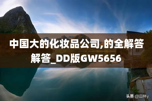 中国大的化妆品公司,的全解答解答_DD版GW5656