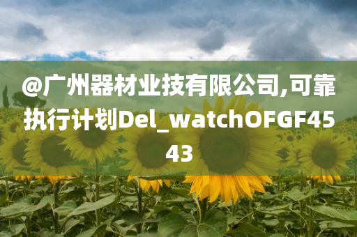 @广州器材业技有限公司,可靠执行计划Del_watchOFGF4543