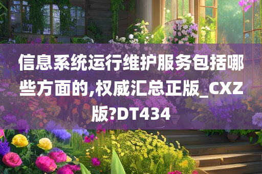 信息系统运行维护服务包括哪些方面的,权威汇总正版_CXZ版?DT434