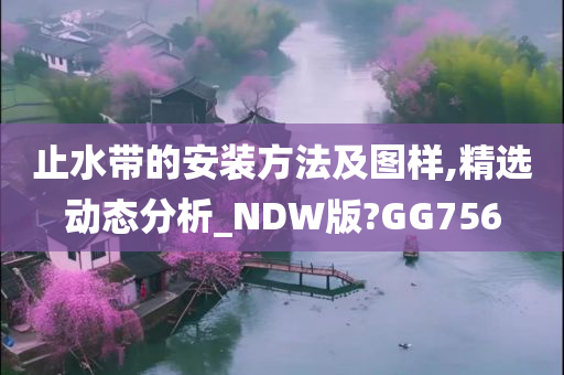 止水带的安装方法及图样,精选动态分析_NDW版?GG756