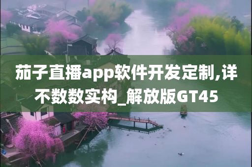 茄子直播app软件开发定制,详不数数实构_解放版GT45