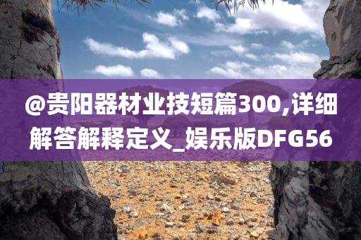 @贵阳器材业技短篇300,详细解答解释定义_娱乐版DFG56