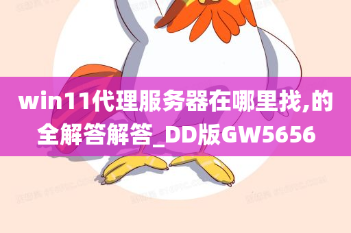 win11代理服务器在哪里找,的全解答解答_DD版GW5656