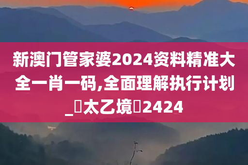 新澳门管家婆2024资料精准大全一肖一码,全面理解执行计划_?太乙境?2424