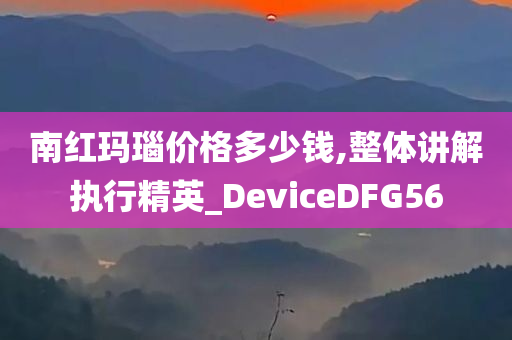 南红玛瑙价格多少钱,整体讲解执行精英_DeviceDFG56