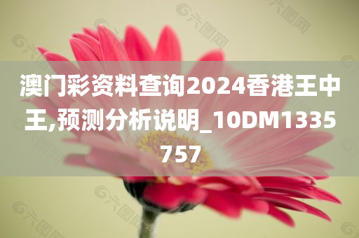 澳门彩资料查询2024香港王中王,预测分析说明_10DM1335757