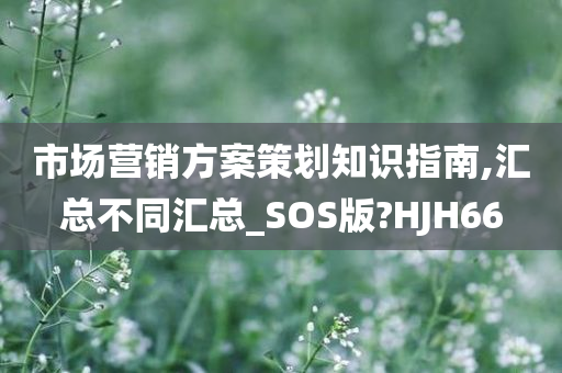 市场营销方案策划知识指南,汇总不同汇总_SOS版?HJH66