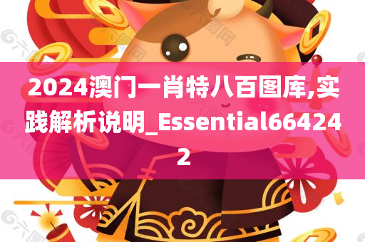 2024澳门一肖特八百图库,实践解析说明_Essential664242