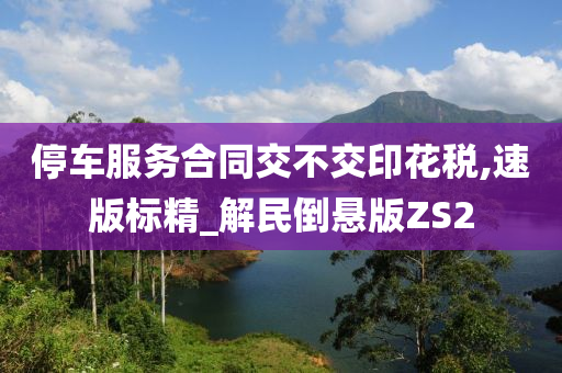 停车服务合同交不交印花税,速版标精_解民倒悬版ZS2