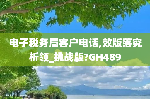 电子税务局客户电话,效版落究析领_挑战版?GH489