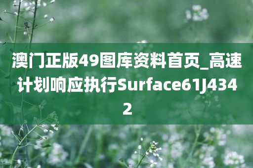 澳门正版49图库资料首页_高速计划响应执行Surface61J4342