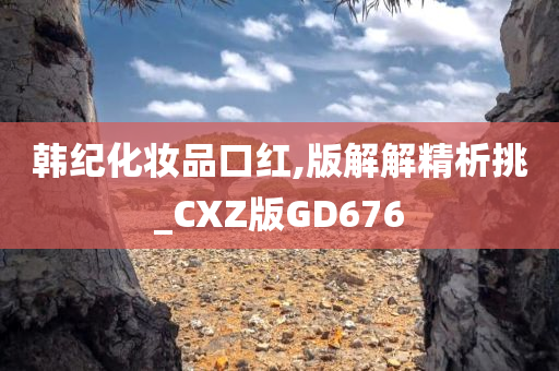 韩纪化妆品口红,版解解精析挑_CXZ版GD676