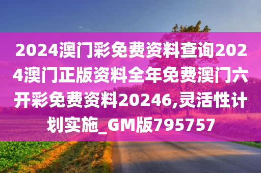 2024澳门彩免费资料查询2024澳门正版资料全年免费澳门六开彩免费资料20246,灵活性计划实施_GM版795757