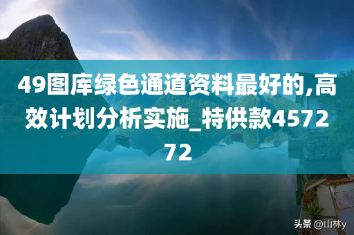 49图库绿色通道资料最好的,高效计划分析实施_特供款457272