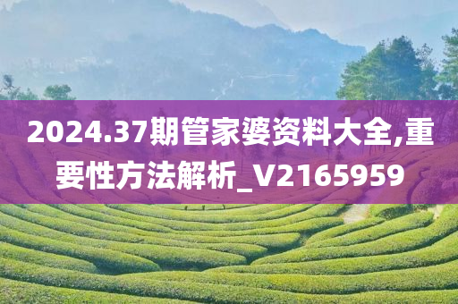 2024.37期管家婆资料大全,重要性方法解析_V2165959