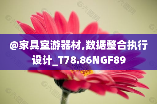 @家具室游器材,数据整合执行设计_T78.86NGF89