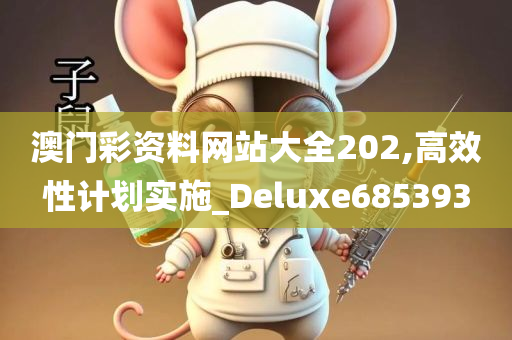 澳门彩资料网站大全202,高效性计划实施_Deluxe685393