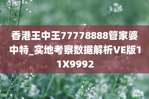 香港王中王77778888管家婆中特_实地考察数据解析VE版11X9992