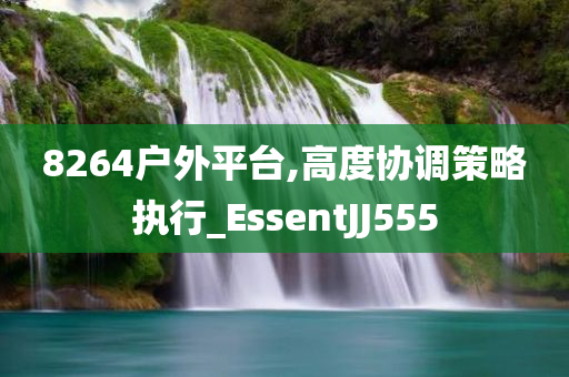 8264户外平台,高度协调策略执行_EssentJJ555