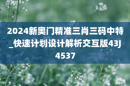 2024新奥门精准三肖三码中特_快速计划设计解析交互版43J4537