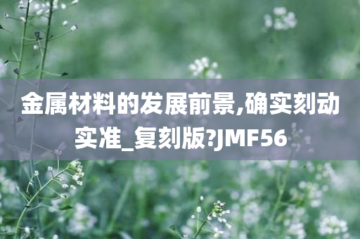 金属材料的发展前景,确实刻动实准_复刻版?JMF56