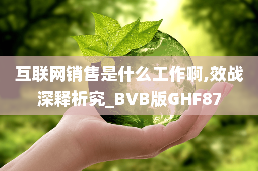 互联网销售是什么工作啊,效战深释析究_BVB版GHF87