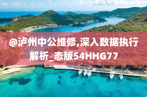 @泸州中公维修,深入数据执行解析_态版54HHG77