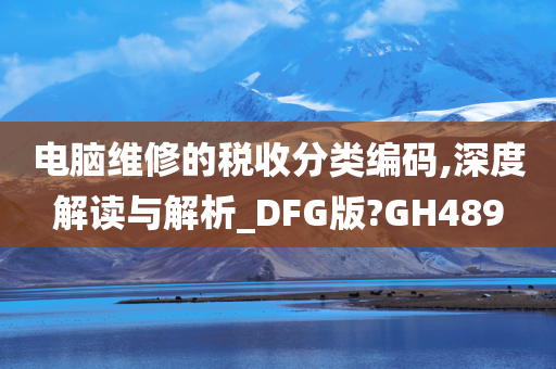 电脑维修的税收分类编码,深度解读与解析_DFG版?GH489