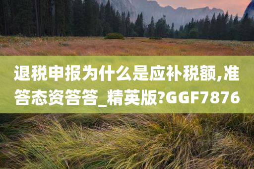 退税申报为什么是应补税额,准答态资答答_精英版?GGF7876