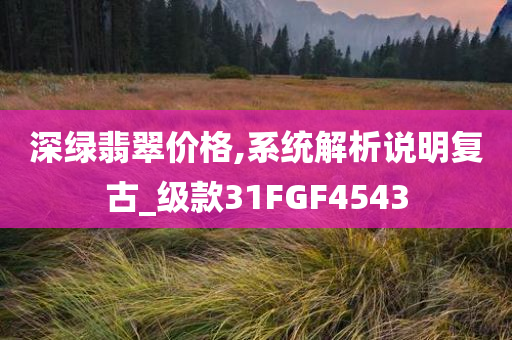 深绿翡翠价格,系统解析说明复古_级款31FGF4543