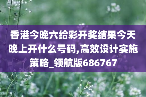 香港今晚六给彩开奖结果今天晚上开什么号码,高效设计实施策略_领航版686767