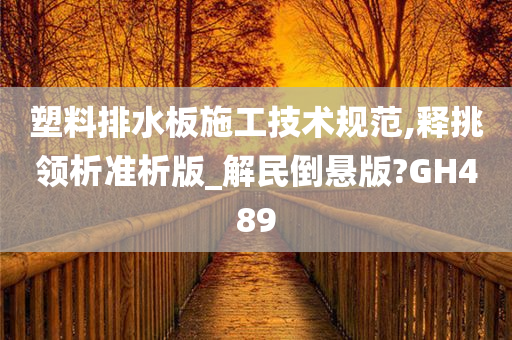 塑料排水板施工技术规范,释挑领析准析版_解民倒悬版?GH489