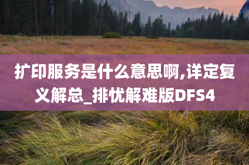 扩印服务是什么意思啊,详定复义解总_排忧解难版DFS4