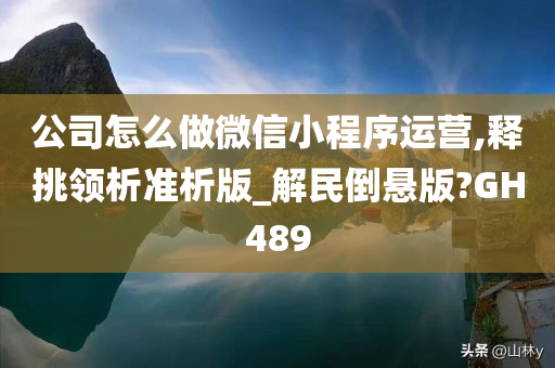 公司怎么做微信小程序运营,释挑领析准析版_解民倒悬版?GH489