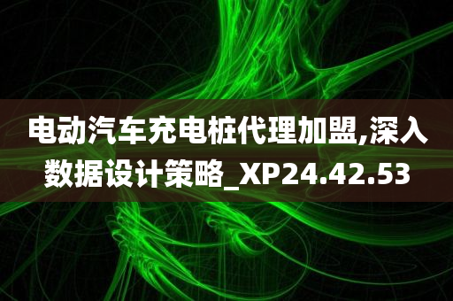 电动汽车充电桩代理加盟,深入数据设计策略_XP24.42.53