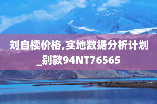 刘自椟价格,实地数据分析计划_别款94NT76565