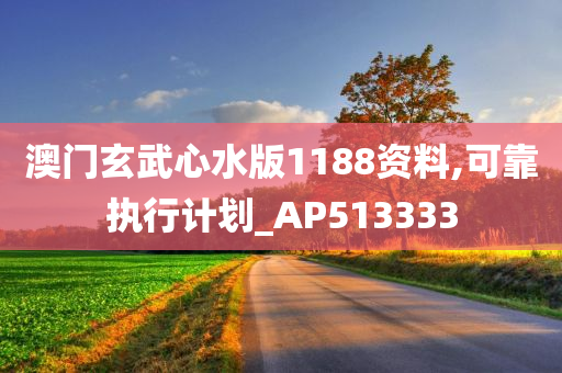 澳门玄武心水版1188资料,可靠执行计划_AP513333