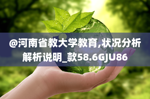 @河南省教大学教育,状况分析解析说明_款58.6GJU86