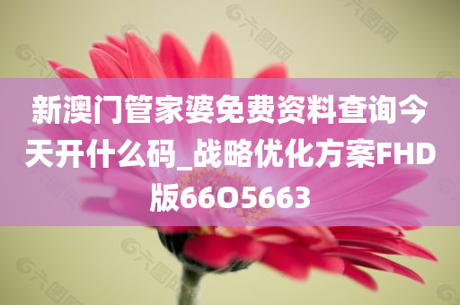 新澳门管家婆免费资料查询今天开什么码_战略优化方案FHD版66O5663