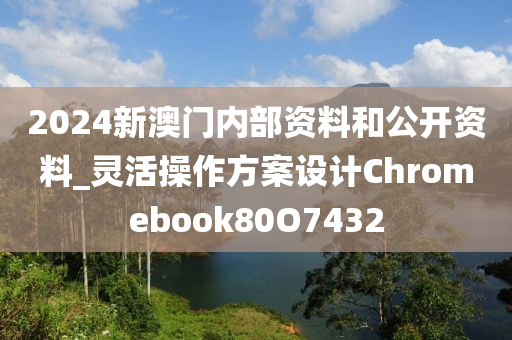 2024新澳门内部资料和公开资料_灵活操作方案设计Chromebook80O7432