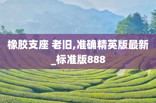 橡胶支座 老旧,准确精英版最新_标准版888