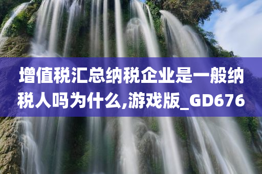 增值税汇总纳税企业是一般纳税人吗为什么,游戏版_GD676