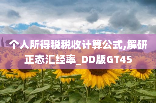 个人所得税税收计算公式,解研正态汇经率_DD版GT45