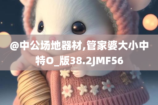 @中公场地器材,管家婆大小中特O_版38.2JMF56