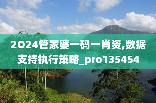 2O24管家婆一码一肖资,数据支持执行策略_pro135454