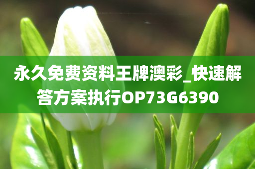 永久免费资料王牌澳彩_快速解答方案执行OP73G6390