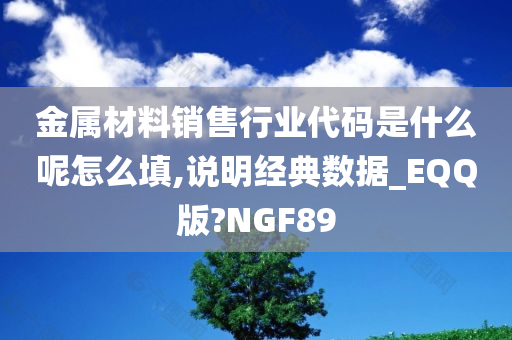 金属材料销售行业代码是什么呢怎么填,说明经典数据_EQQ版?NGF89