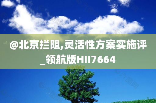 @北京拦阻,灵活性方案实施评_领航版HII7664